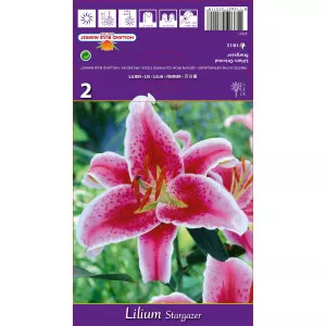 Crin oriental Stargazer