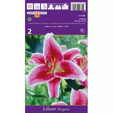 Crin oriental Stargazer
