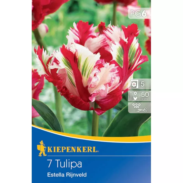 Lalele Estella Rijnveld