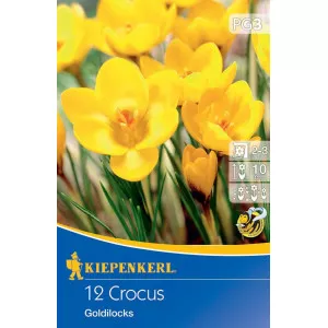 Brândușe Goldilocks