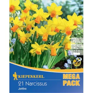 Mega Pack Narcise Jetfire