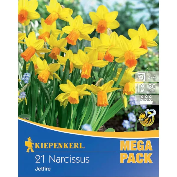 Mega Pack Narcise Jetfire