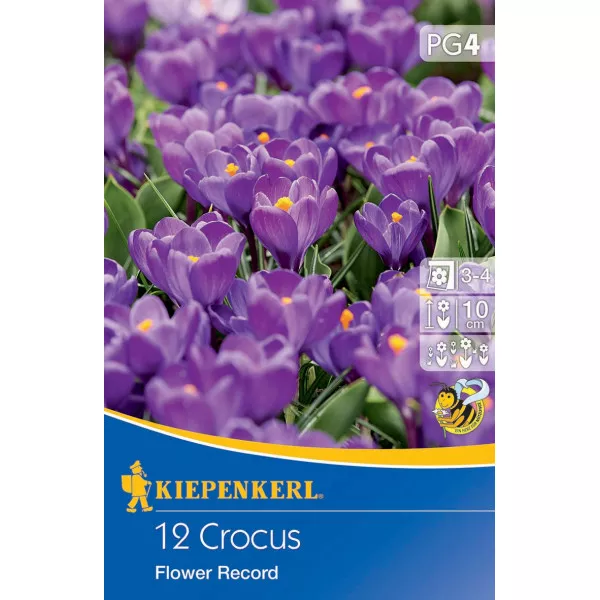 Brândușe Flower Record