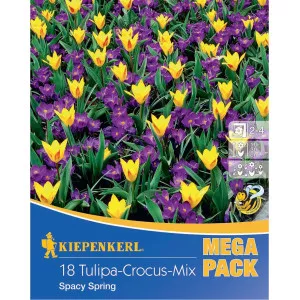 Mega Pack Brândușe Spacy Spring mix multicolor