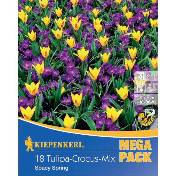 Mega Pack Brândușe Spacy Spring mix multicolor