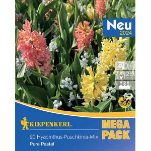 Mega Pack Zambile Pure Pastel mix multicolor