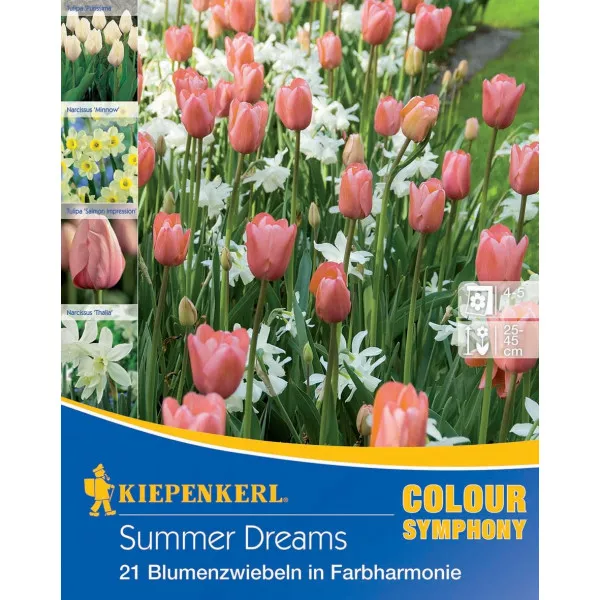 Bulbi de flori Summer Dreams
