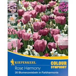 Bulbi de flori Rose Harmony