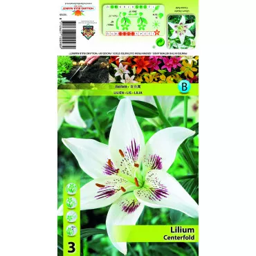 Crin asiatic Centerfold