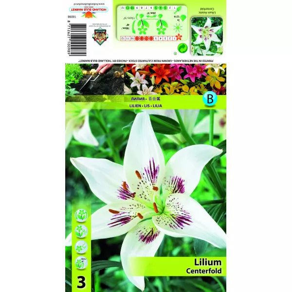 Crin asiatic Centerfold