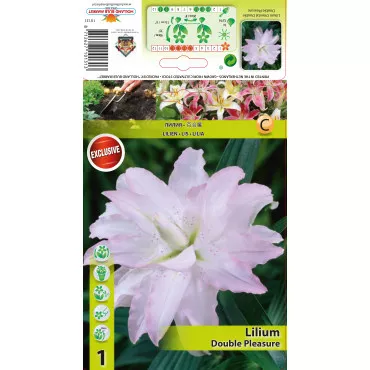 Crin oriental dublu Double Pleasure