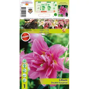 Crin oriental dublu Double Surprise