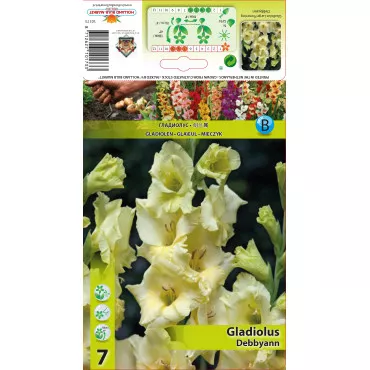 Gladiole Debbyann