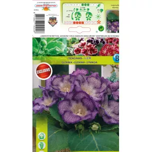 Gloxinie albastră