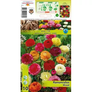 Ranunculus mix multicolor