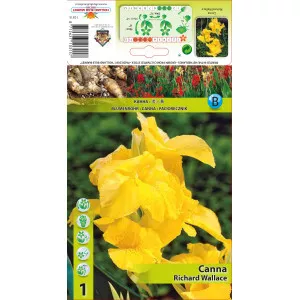 Canna Richard Wallace
