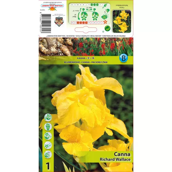 Canna Richard Wallace