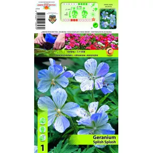 Mușcată englezească (Geranium) Splish Splash