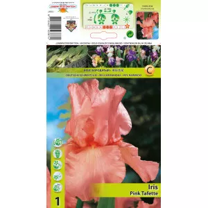 Iris germanica (Stânjenel) Pink Tafette