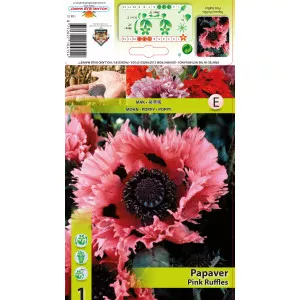 Mac de grădină (Papaver) Pink Ruffles