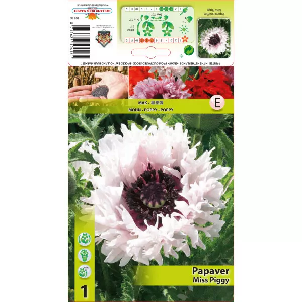 Mac de grădină (Papaver) Miss Piggy Ruffles
