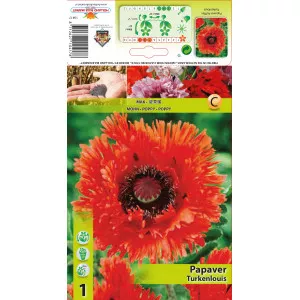 Mac de grădină (Papaver) Ruffles Turkenlouis