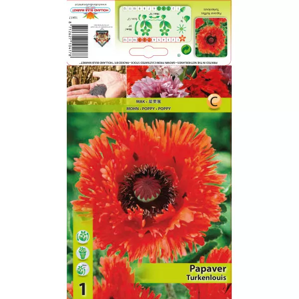 Mac de grădină (Papaver) Ruffles Turkenlouis