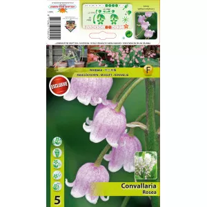 Lăcrămioară (Convallaria Majalis) roz