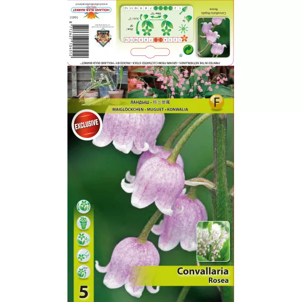 Lăcrămioară (Convallaria Majalis) roz Lăcrămioară (Convallaria Majalis) roz