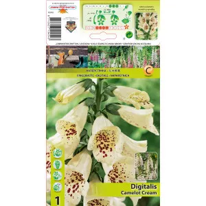 Degețel (Digitalis) Camelot Cream