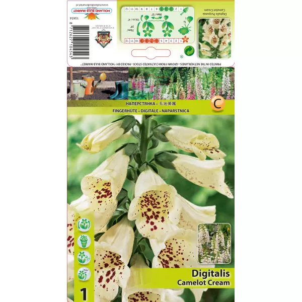Degețel (Digitalis) Camelot Cream
