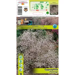 Floarea miresei (Gypsophila) Flamingo