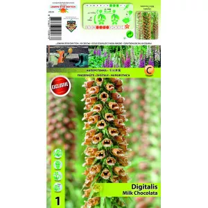 Degețel (Digitalis) Milk Chocolate