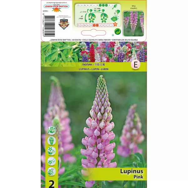 Lupin roz