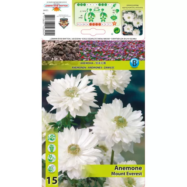 Anemone duble Mount Everest Anemone duble Mount Everest