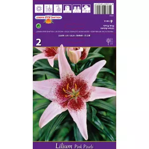 Crin asiatic Pink Pixels
