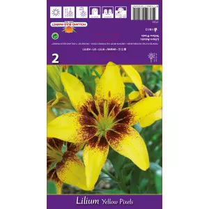 Crin asiatic Yellow Pixels