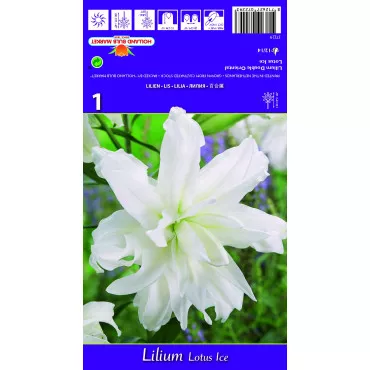 Crin oriental dublu Lotus Ice