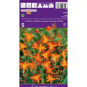 Crocosmia mix multicolor