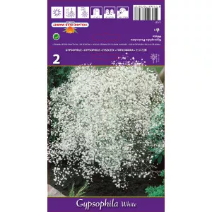 Floarea miresei (Gypsophila) albă