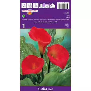 Cală roșie