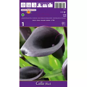 Cală neagră