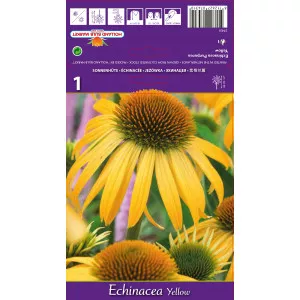 Echinacea galbenă