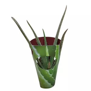 Aloe vera la ghiveci ø 10,5 cm