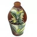 Gasteria (Gasteria verrucosa variegata) la ghiveci ø 6,5 cm
