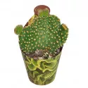 Cactus (Opuntia microdasys undulata) la ghiveci ø 6,5 cm