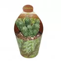 Peperomia (Peperomia columella) la ghiveci ø 6,5 cm