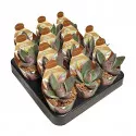Copacul banilor Garnet Lotus (Crassula) la ghiveci ø 6,5 cm