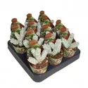 Copacul banilor Deceptor (Crassula) la ghiveci ø 6,5 cm