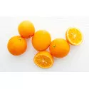 Portocal amar (Citrus x aurantium)